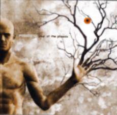 Pyromesh : Year Of The Phoenix